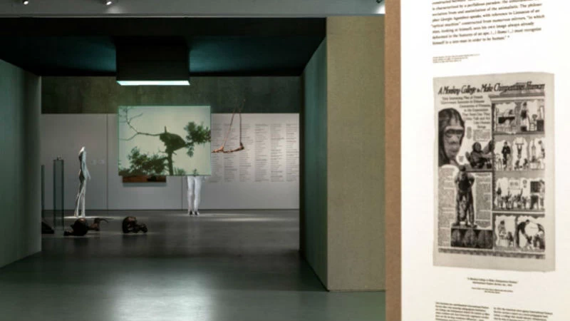Hila Peleg: «Η documenta 14 πρέπει να ενεργοποιήσει εκ νέου τις κριτικές καλλιτεχνικές παραδόσεις» - εικόνα 7